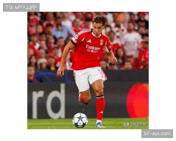 本菲卡赛季表现稳健，争冠形势愈发明朗