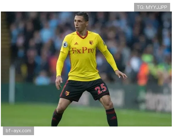 英超马特·特纳